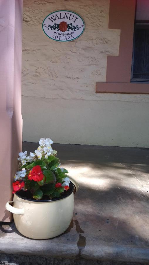 Walnut Cottage Angaston Luaran gambar